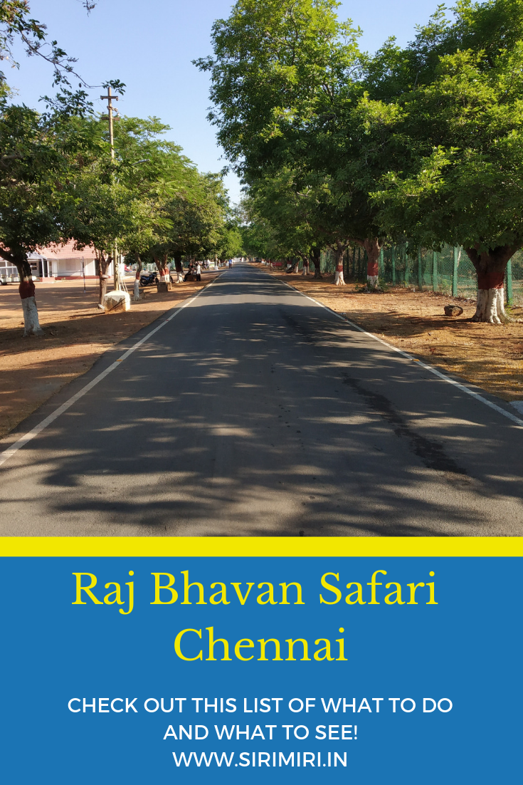 Raj-Bhavan-Safari-Chennai-Sirimiri