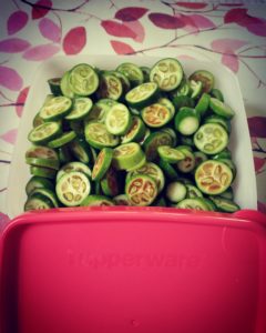 Fridge-Makeover-Tupperware-Review-Sirimiri