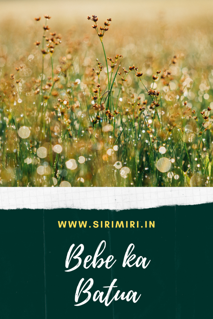 Bebe-ka-Batua-Sirimiri_blogchatterhalfmarathon