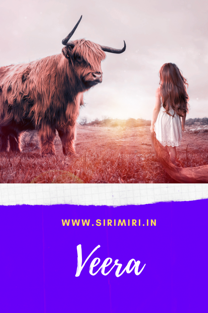 Veera_fiction_Sirimiri_Blogchatter_navras
