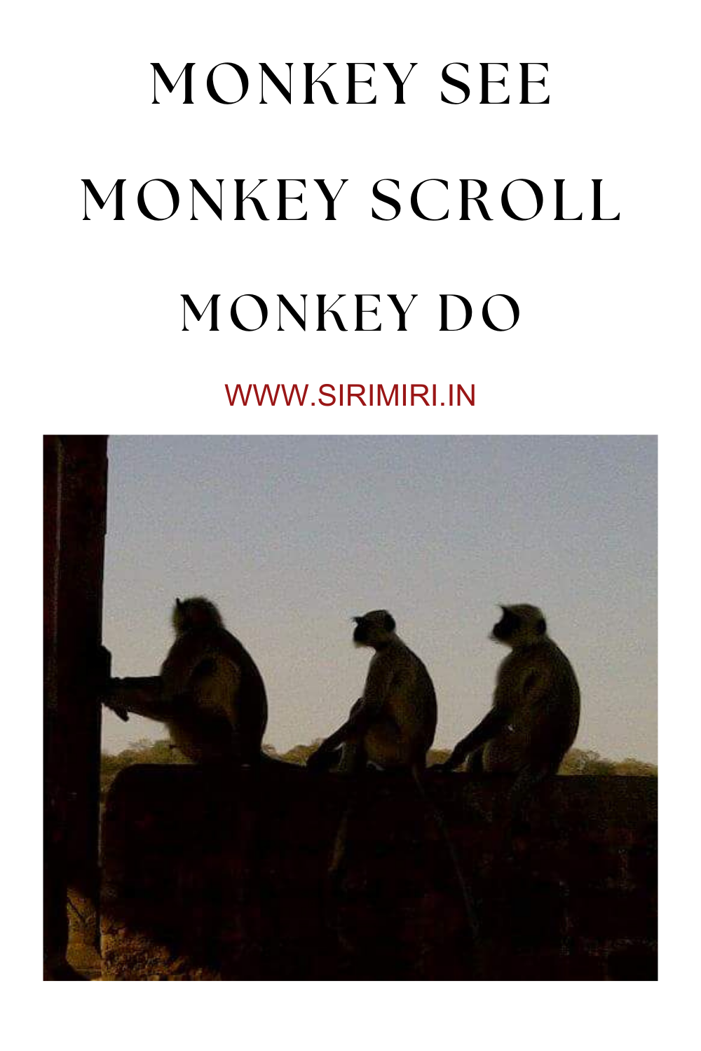 Monkey See. Monkey Scroll. Monkey Do.